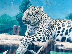 -昆明动物园