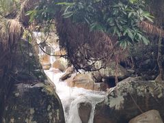 -海南霸王岭国家森林公园