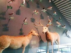 -中国湿地博物馆