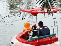 -枫香湖儿童公园