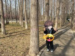 -石家庄市植物园