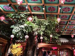 -情满四合院•京菜•烤鸭(动物园店)