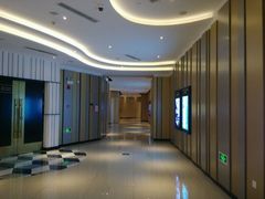 影院内-百丽宫影城(CGS激光苏宁广场店)