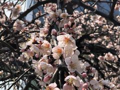 -白塘生态植物园