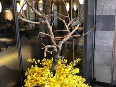 -呷哺呷哺(松江开元店)