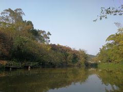 -老木棉·匠园