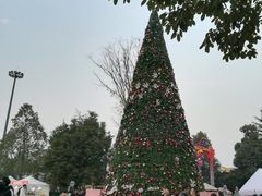 -国色天乡三期陆地乐园