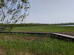 -西青郊野公园