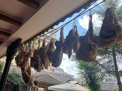 -山菌美食苑(振兴路店)