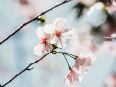 -乌山风景区