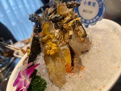 -东海怡品海鲜豆捞(舟宿夜江店)