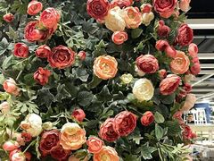 -宜家家居(高新商场店)