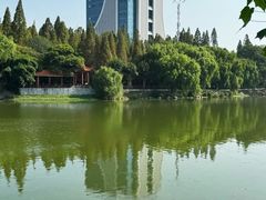 -沙市市中山公园