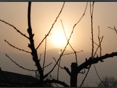 -大自然农场蔬菜草莓采摘园