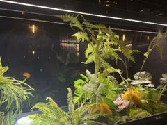 -华夏良子·足道·SPA·艾灸(金皇大厦店)