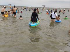 -奉贤海滩