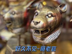 -哥老官重庆美蛙鱼头(宝山龙湖店)