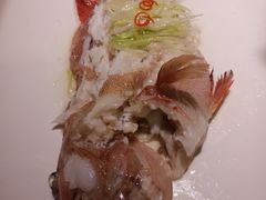 -唐阁海景中餐厅·早茶·粤菜•生日聚餐(海口朗廷酒店)