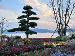 -东钱湖小普陀景区