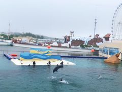 -秦皇岛乐岛海洋王国