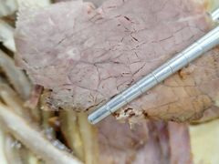 -都谷包子(天一广场店)