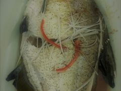 武昌鱼-湖北味道(湖北大厦店)