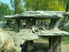 -北京野生动物园