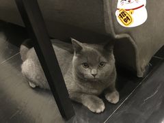 -吱咖啡西式简餐