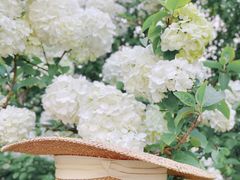 -上海滨江森林公园