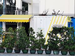 -BIGHEAD大头家咖啡馆(蛇口店)