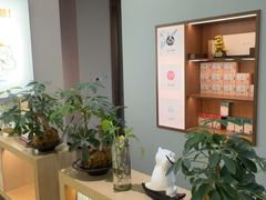 -长风拨筋养身(金虹桥店)