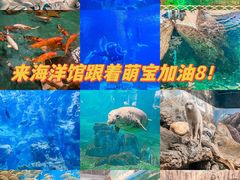 -西安曲江海洋极地公园