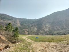 -树山生态村