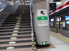 -大望路(地铁站)