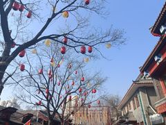 -戴月轩(琉璃厂东街店)