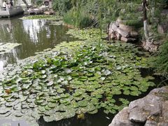-文瀛公园