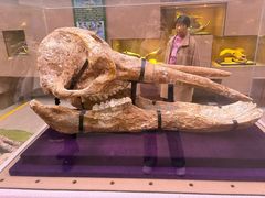 -陕西自然博物馆