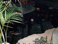 Picture 088-绿色时代大酒店