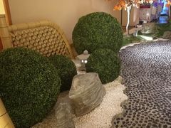 -汤泉良子(金源店)