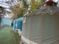 -尚庄度假村·庭台树下·户外烧烤·团建CS·轰趴营地(上庄水库店)