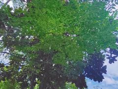 -洨河生态公园