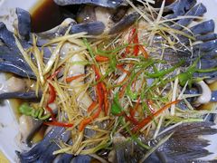 -煲来饱去冷水鱼