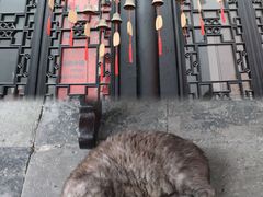 -绮园景区