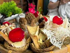 -菌彩云南野生菌火锅(呈贡七彩云南第壹城店)