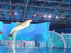 -海合安青岛极地海洋公园