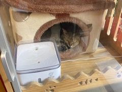 -愉肴麻辣香锅(中山路店)