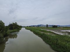 -漩门湾国家湿地公园