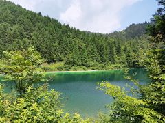 -武陵山森林公园