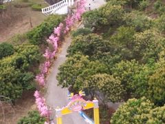 -龙凤山庄影视度假村