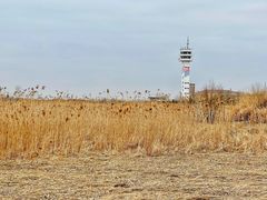 -上海吴淞炮台湾国家湿地公园